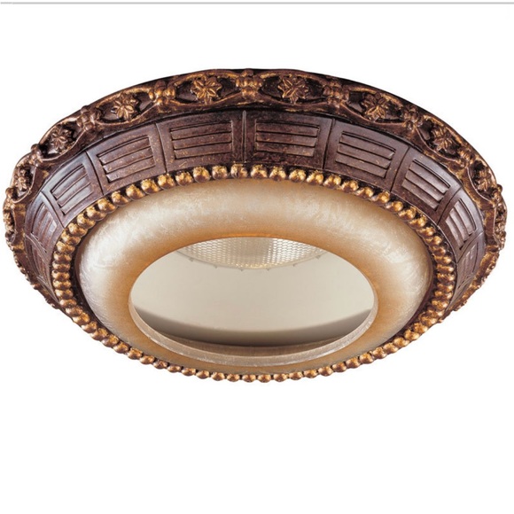 Elegant Brown and Gold Ceiling Light Fixture (Lighting) - Picture 1 of 8